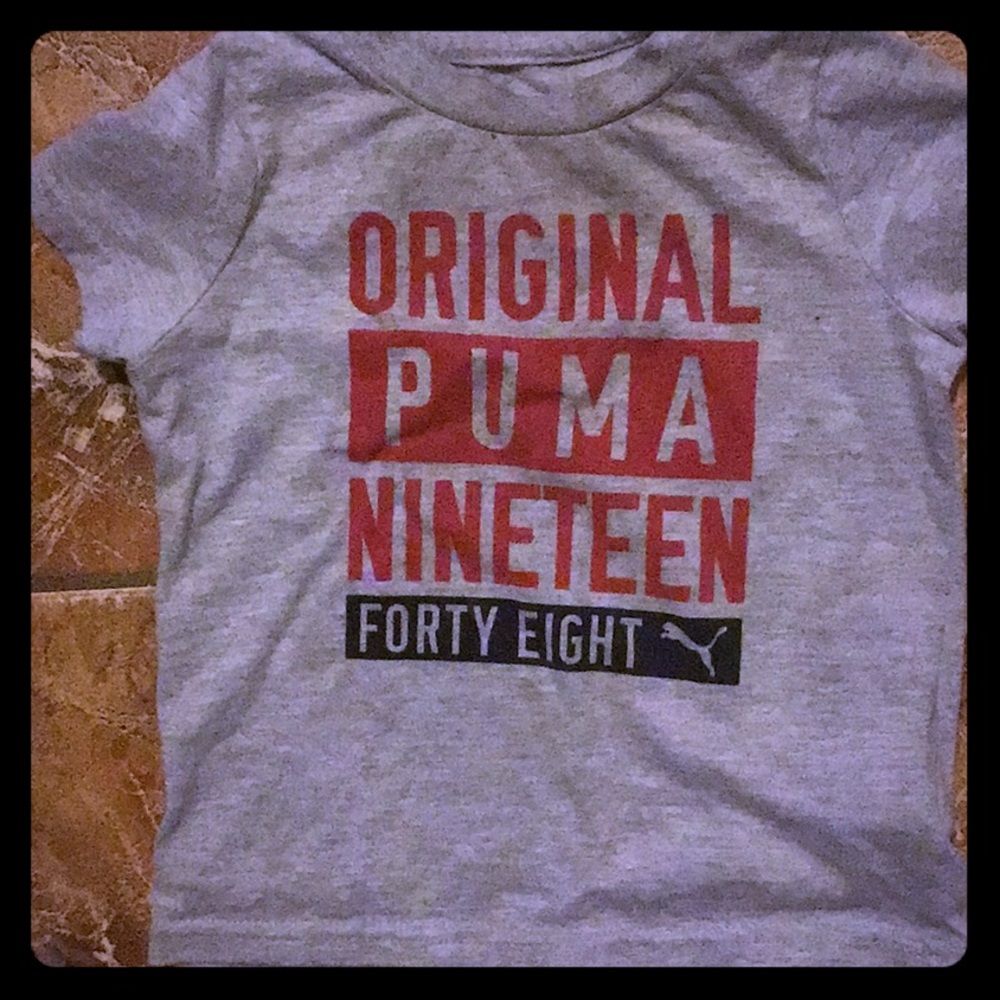 T-shirt /gray puma